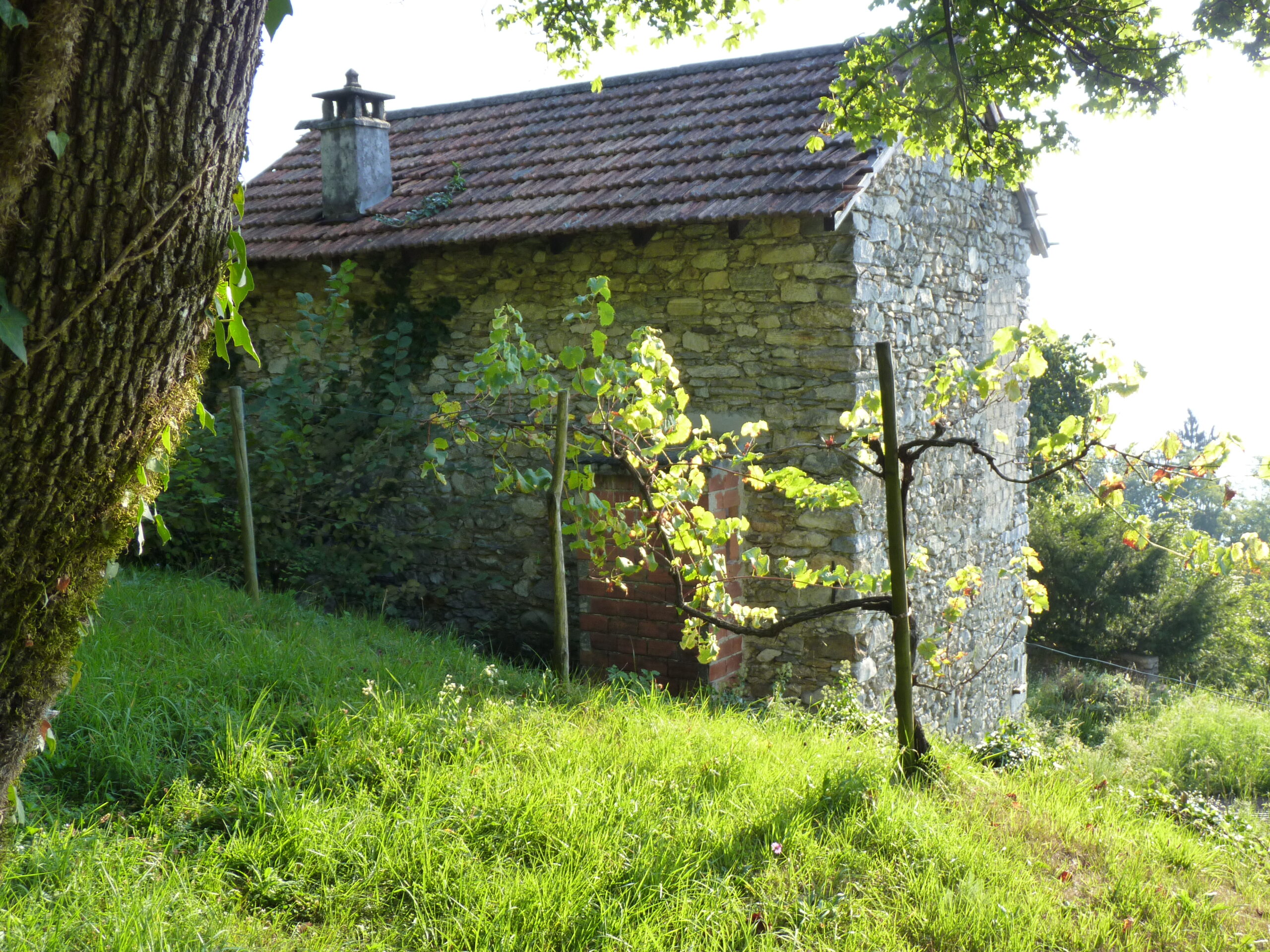 Geschichten rund um die Italianità bei Haus und Bau