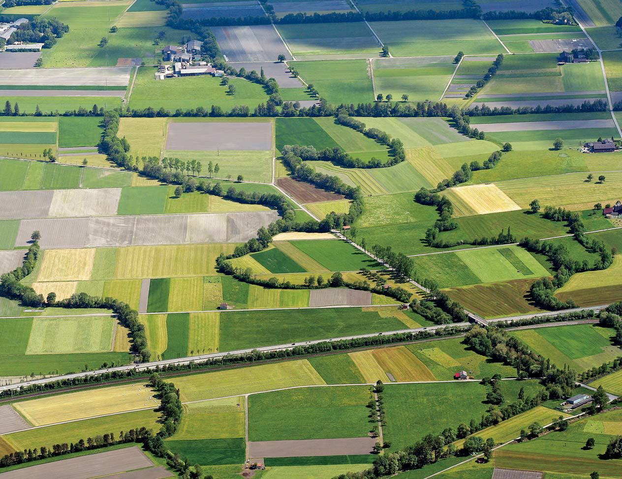 Biodiversität – alte Herausforderungen, neue Chancen