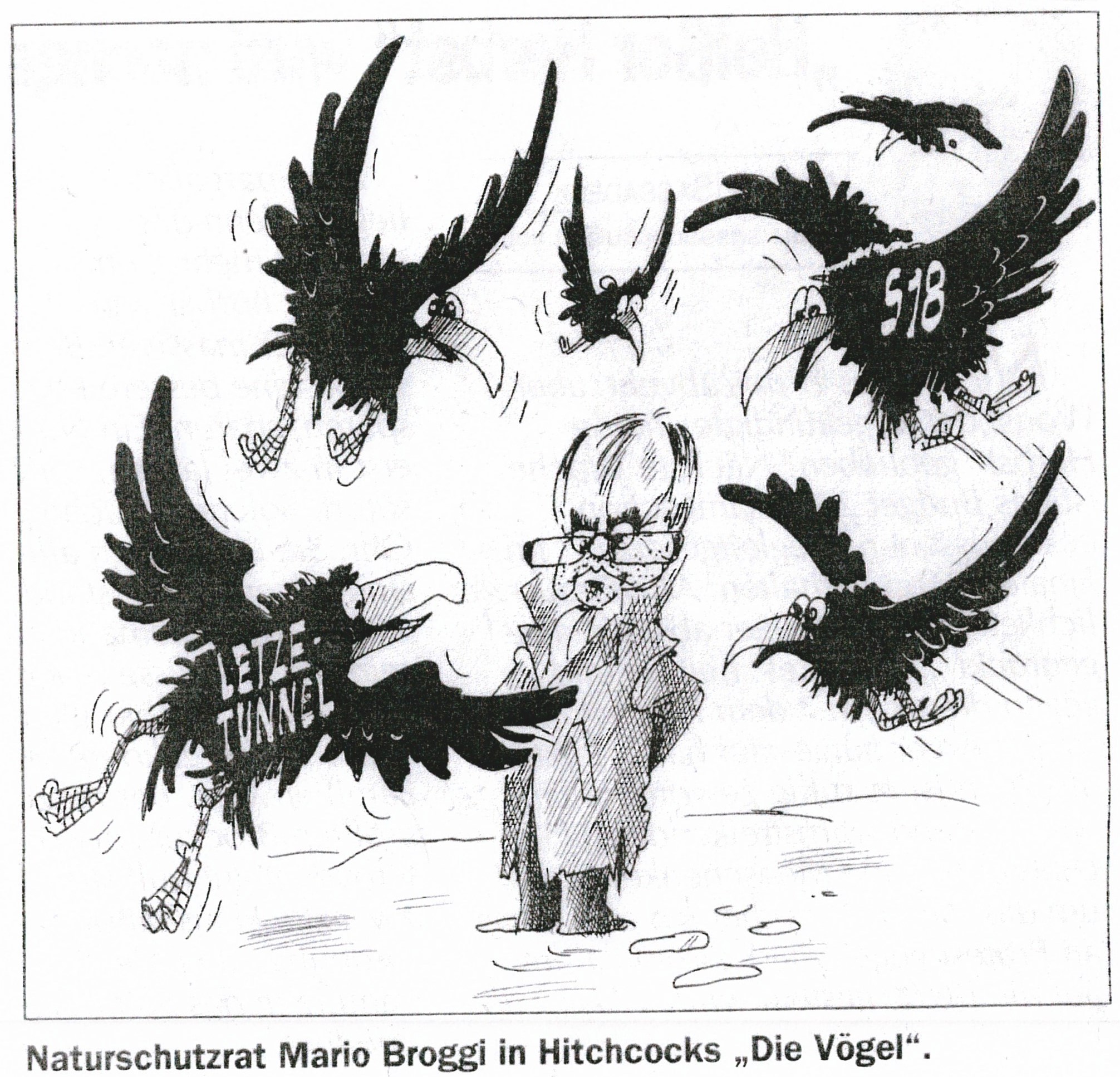 Broggi in Hitchcocks „Die Vögel“