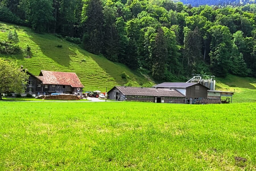 Der Gletschermühlen-Schluchtenweg ob Sevelen