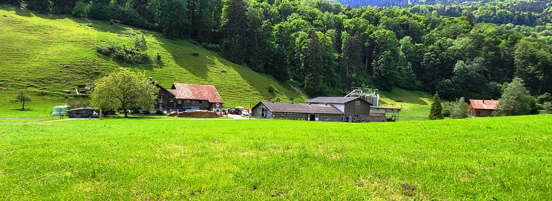 Der Gletschermühlen-Schluchtenweg ob Sevelen