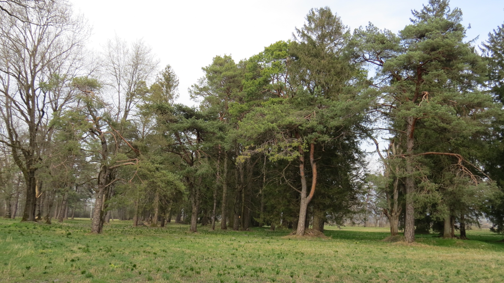Flur&shy;namen als Lang&shy;zeit&shy;ge&shy;dächt&shy;nis der Land&shy;schaft – eine Aus&shy;lese aus dem rhein&shy;nahen Ge&shy;biet des Für&shy;sten&shy;tums Liech&shy;ten&shy;stein