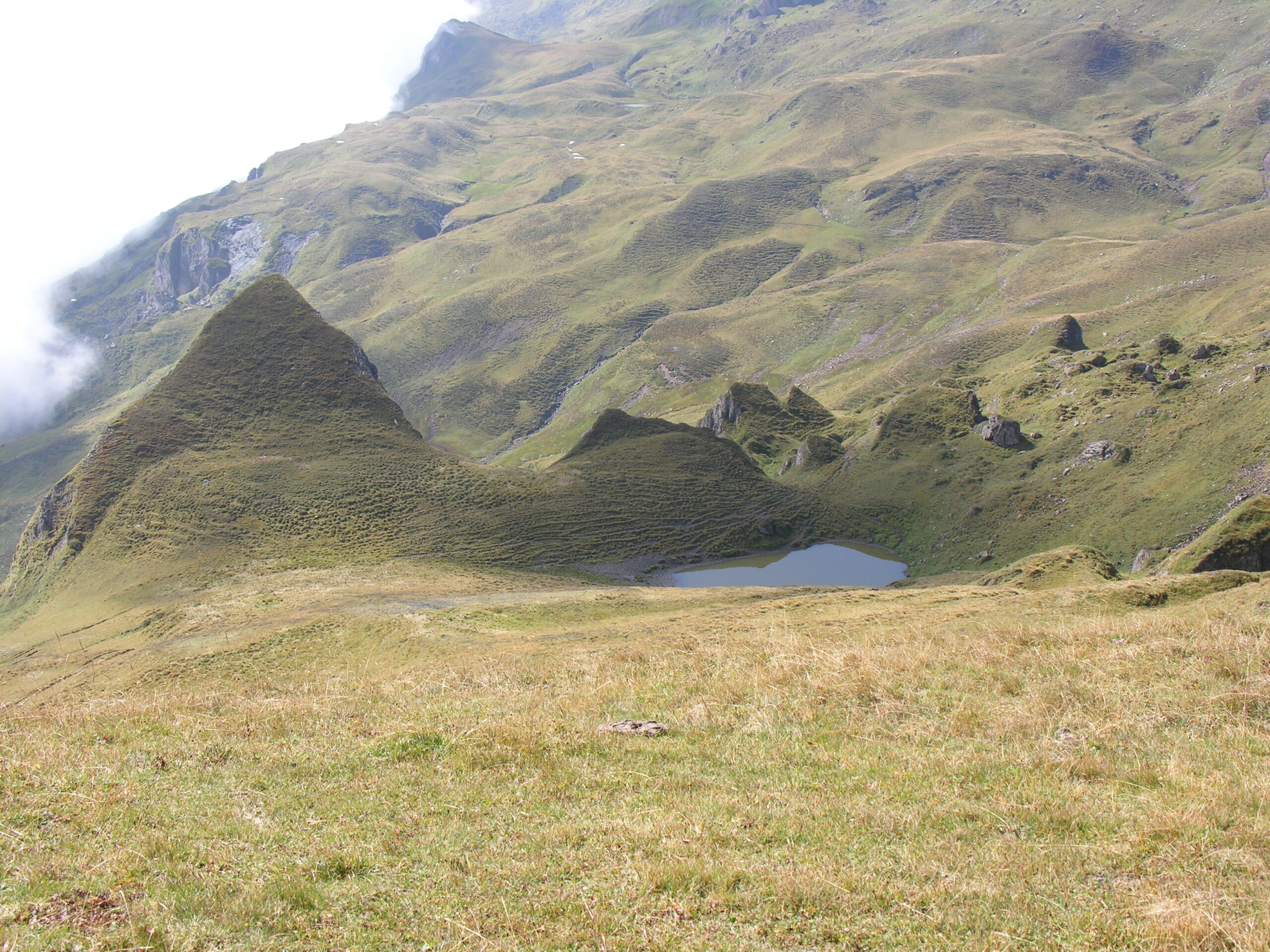 Sind ungenutzte Landschaften überflüssig?