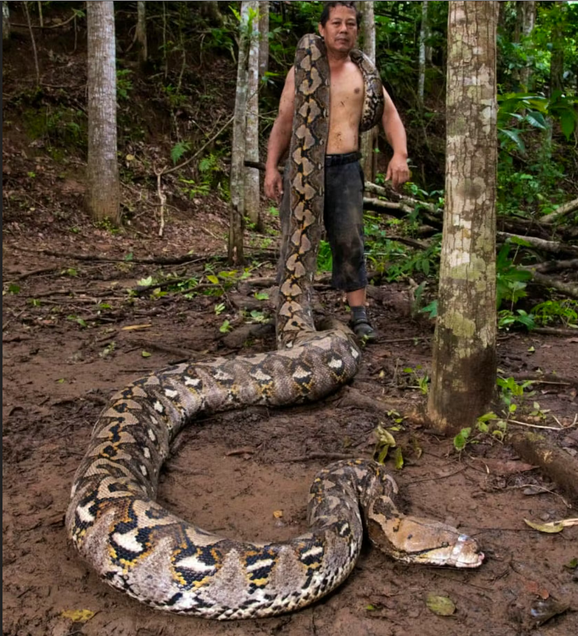 Von „gefährlichen“ Tieren in der Medienlandschaft im Frühling 2026