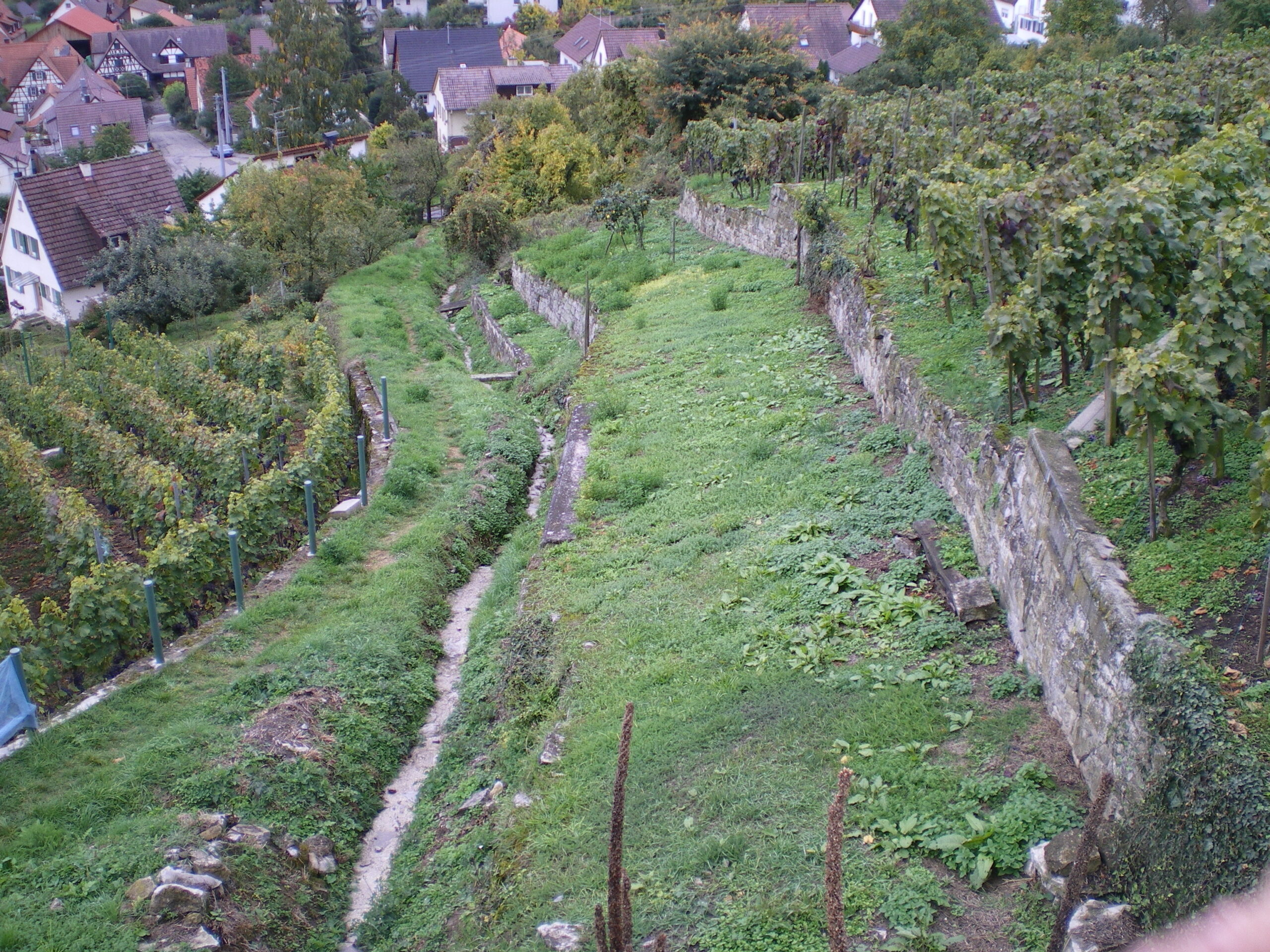 Steile Weine
